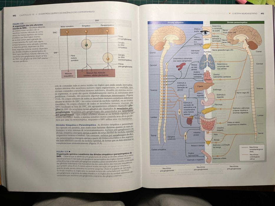 Livro "Neurociências - Desvendando o Sistema Nervoso" ed. artmed