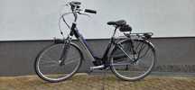 Rower Koga Miyata Tesla