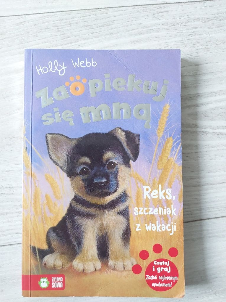 Zaopiekuj się mną seria Holly Webb 3 sztuki dla dzieci