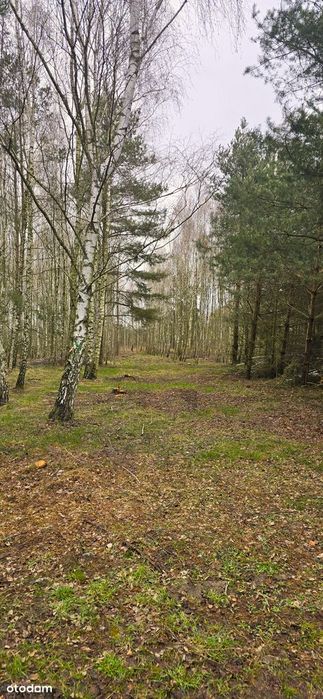 Działki w urokliwym miejscu tereny zielone z dala od zabudowań