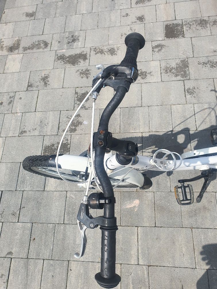 Rower princess Unibike