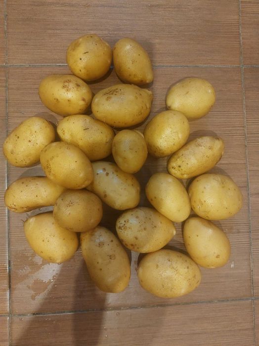 Sprzedam ziemniaki soraya i queen anne