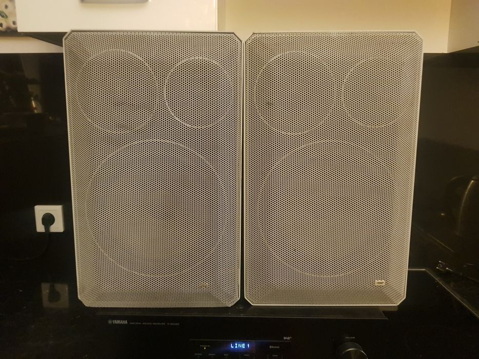Kolumny półkowe, monitory Braun Ls80