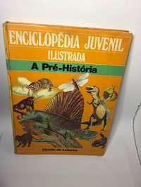 A pré-história (Enciclopédia Juvenil Ilustrada)