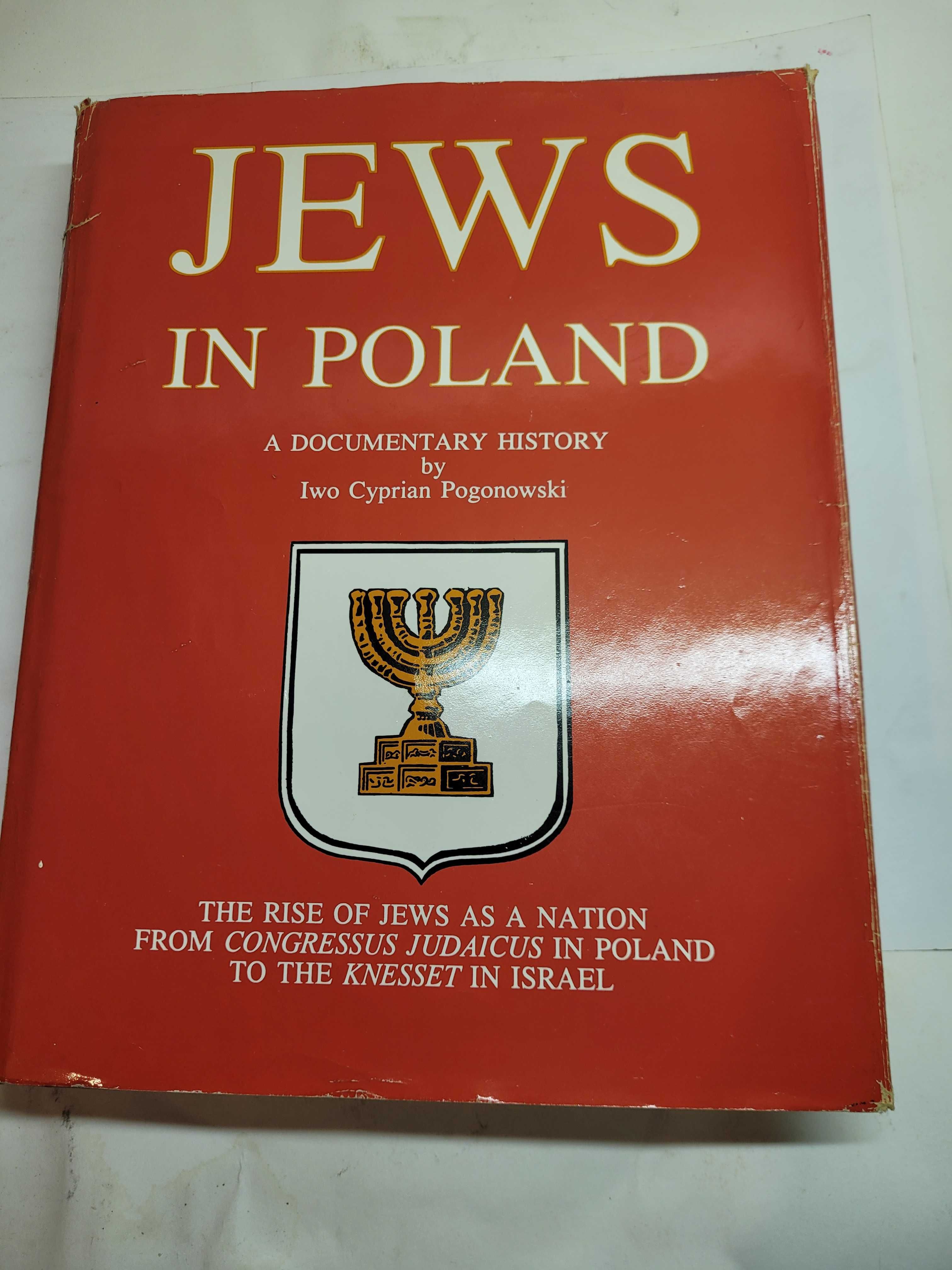 Jews in Poland a documentary history by Iwo Cyprian Pogonowski