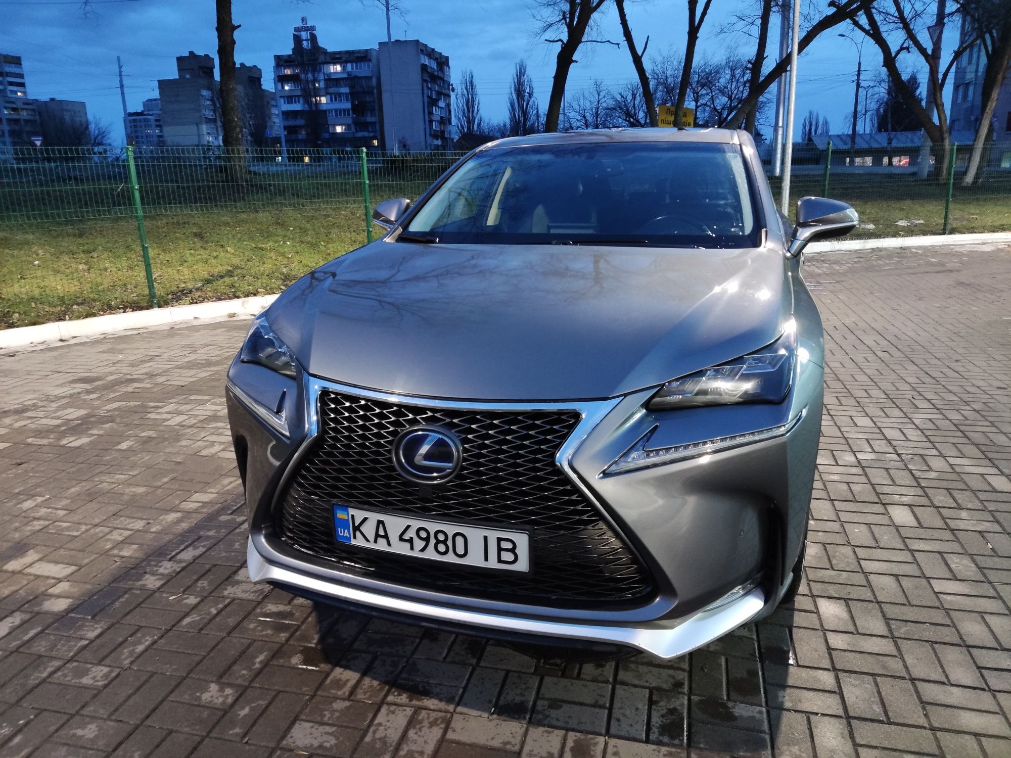Гібридний Lexus NX 300h