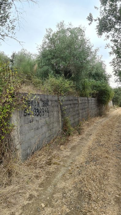 Terreno em valhascos Sardoal