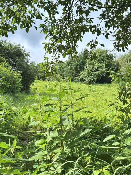 Зімельна ділянка 30 сот. с. Іванковичи під забудову