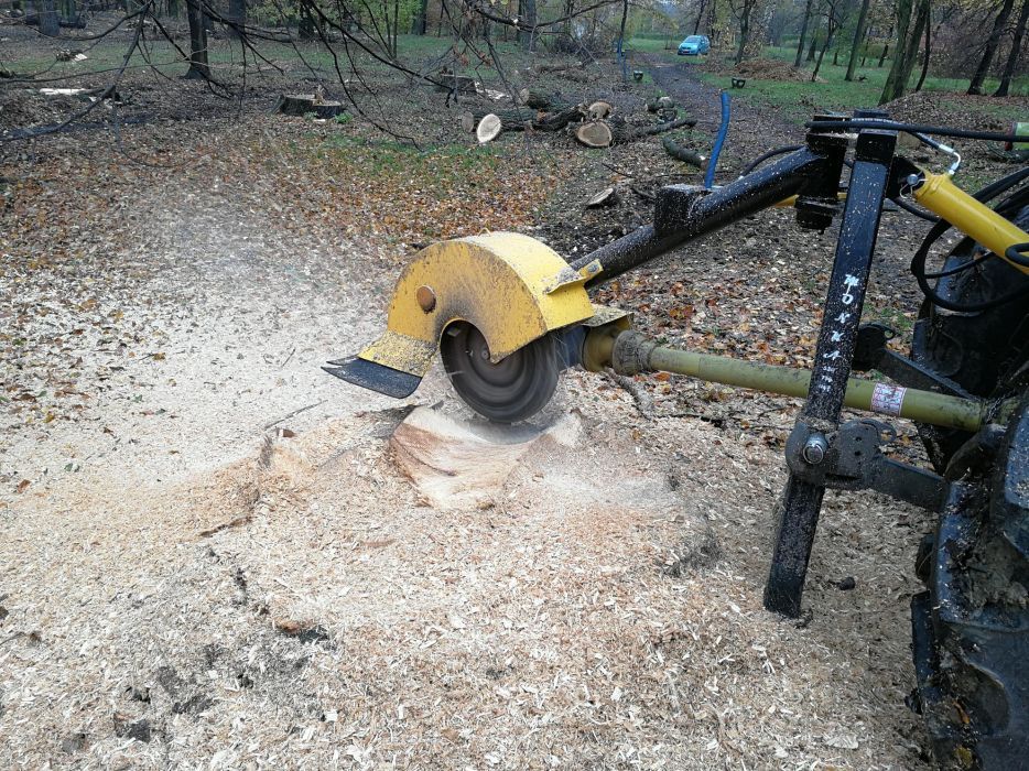 Frezowanie, karczowanie pni drzew ŚLĄSK, Katowice, Orzesze,Żory,Rybnik