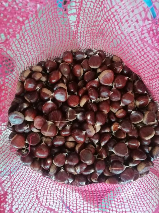 Castanhas biológicas