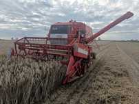 Sprzedam kombajn Massey Ferguson 506