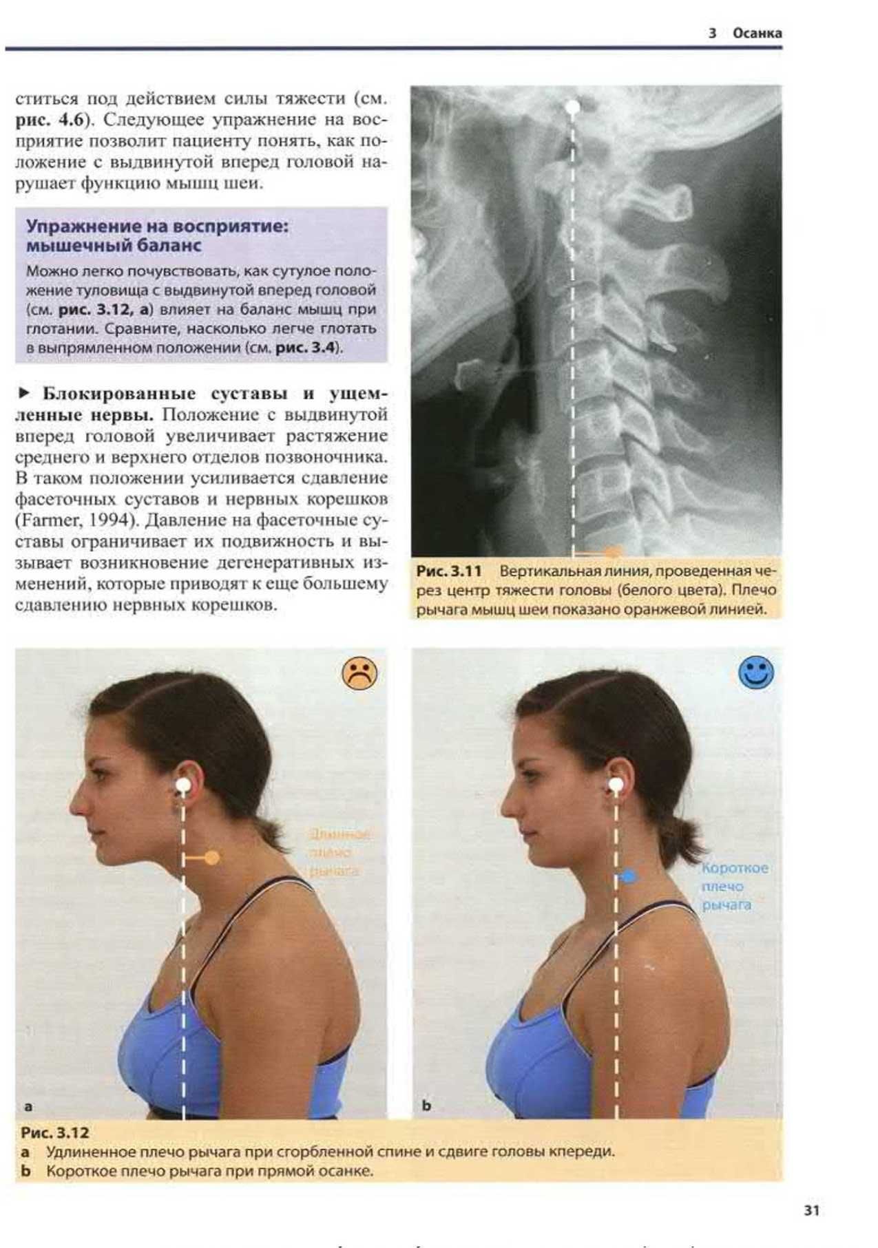 Тесты и упражнения при функциональных нарушениях позвоночника.П. Фишер