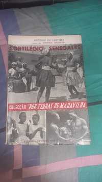 Sortilégio Senegalês livro António Certima África