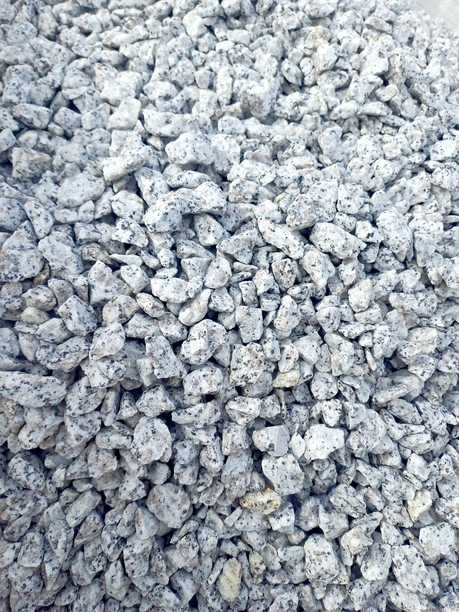 Grys biały w czarne kropki GRANIT strzegomski dalmatyńczyk kamień