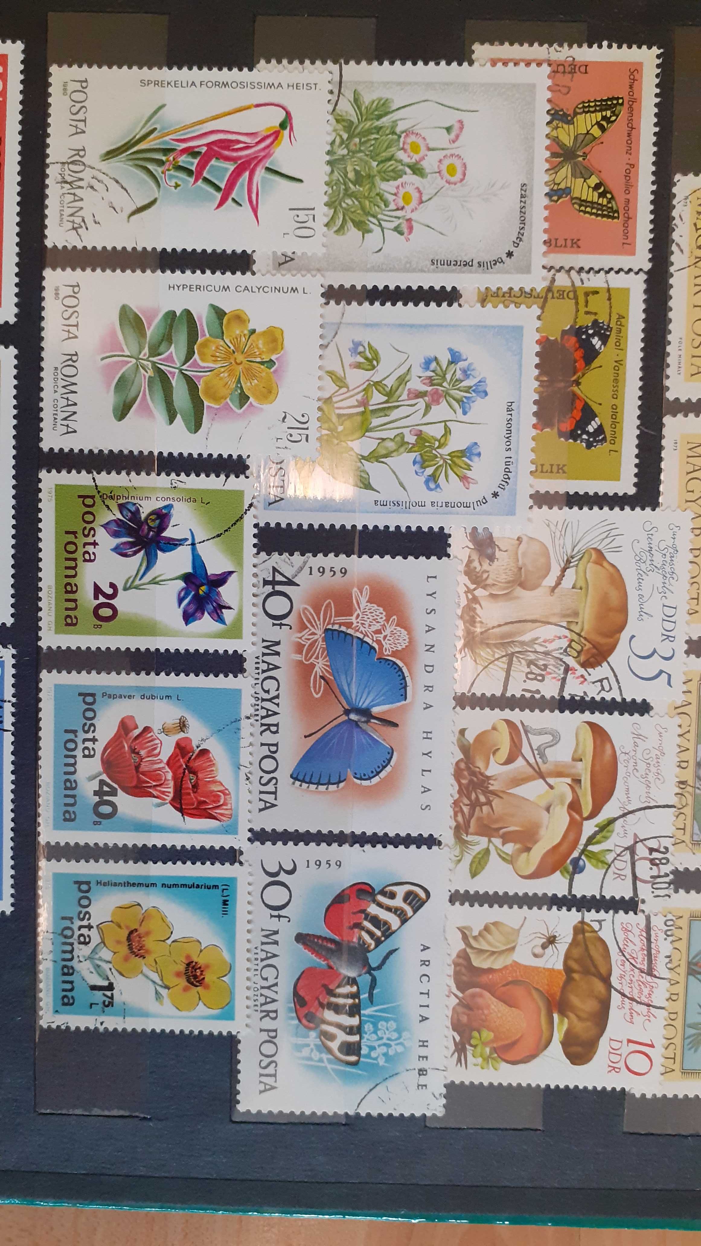 znaczki z roślinami i kwiatami