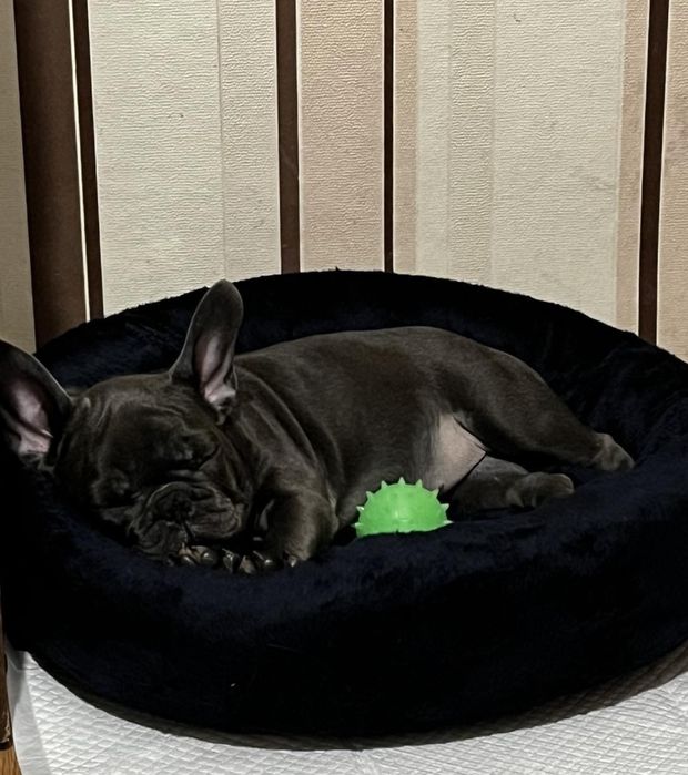 Хлопчик та дівчинка