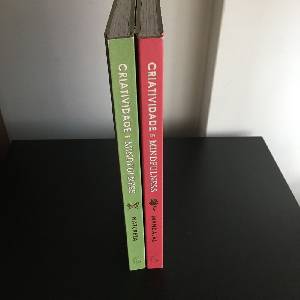 Conjunto 2 livros Criatividade é Mindfulness