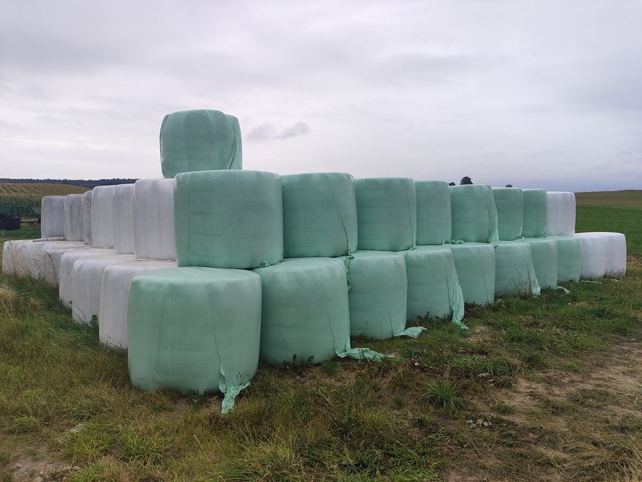 Sianokiszonka 130 bela