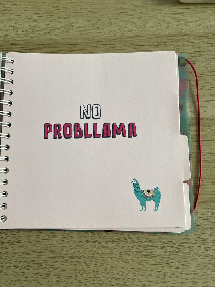 Caderno argolas, lama, novo