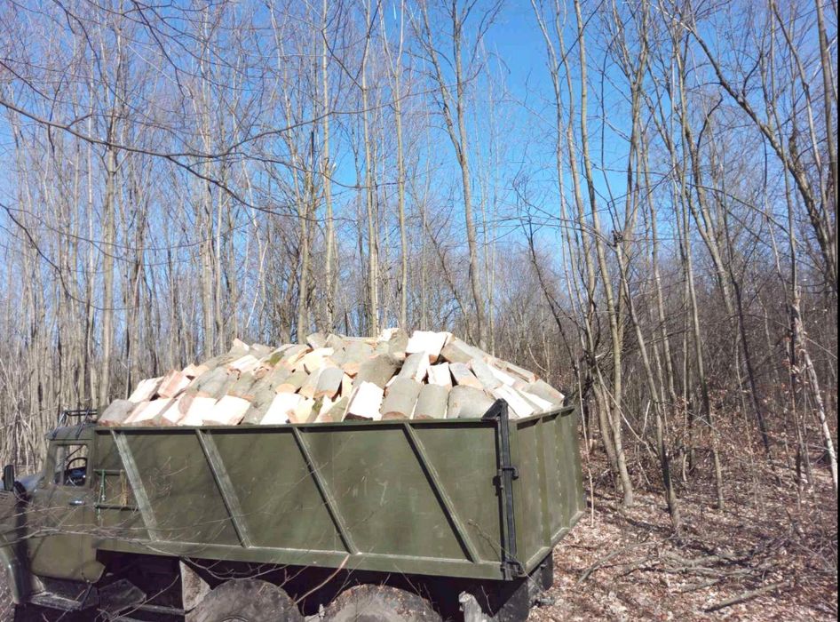 Продаю дрова твердих і м'яких порід
