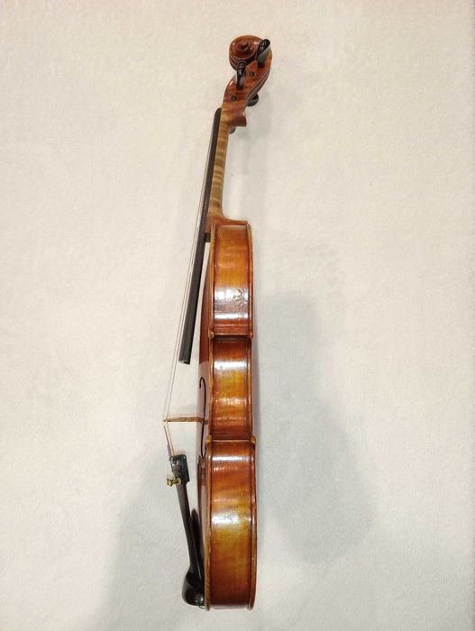 Violino 4/4 de 2019