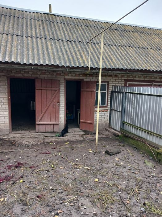 Продам будинок в Самгородке, 4 кімнати