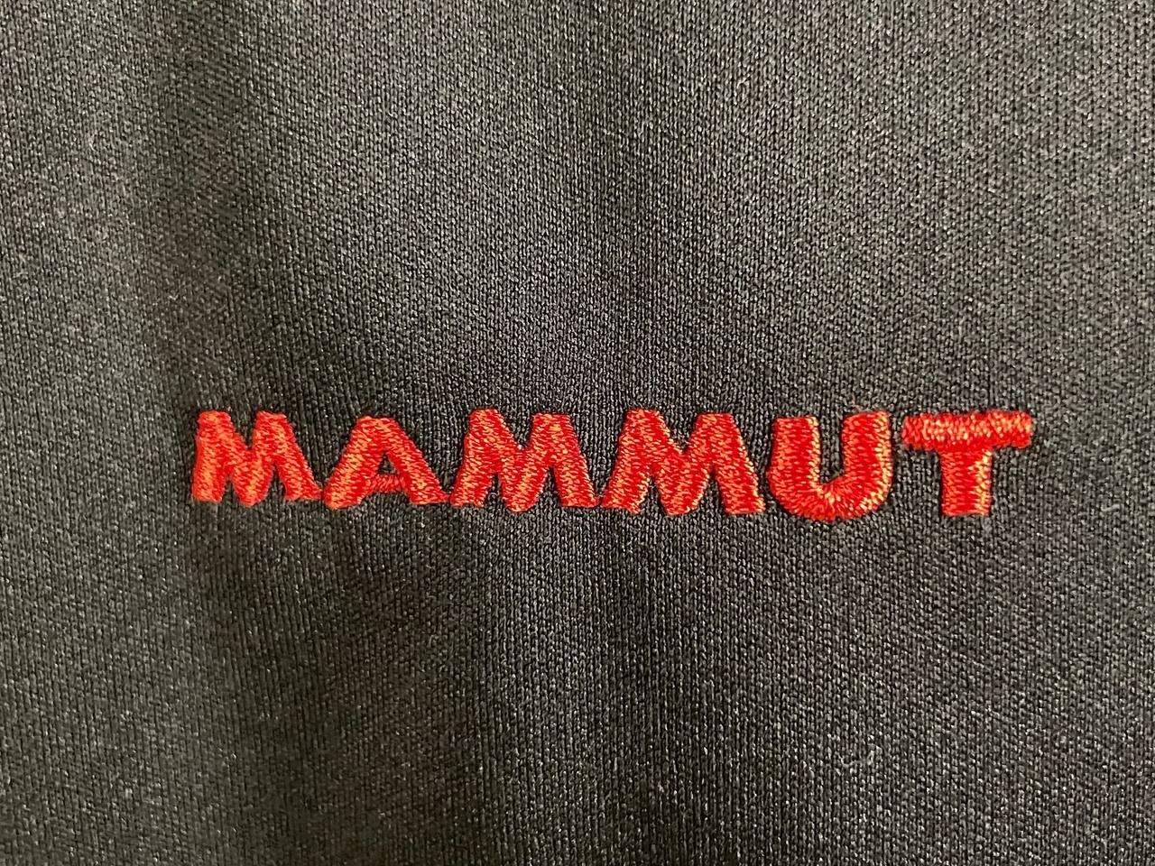 Чоловіча олімпійка Mammut (L)