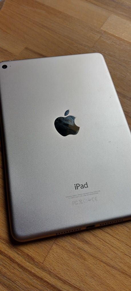 iPad mini 4 oraz iPan mini 2