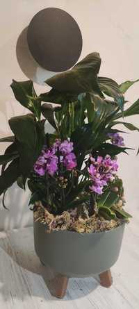Букет з орхідей і спатіфілума #7