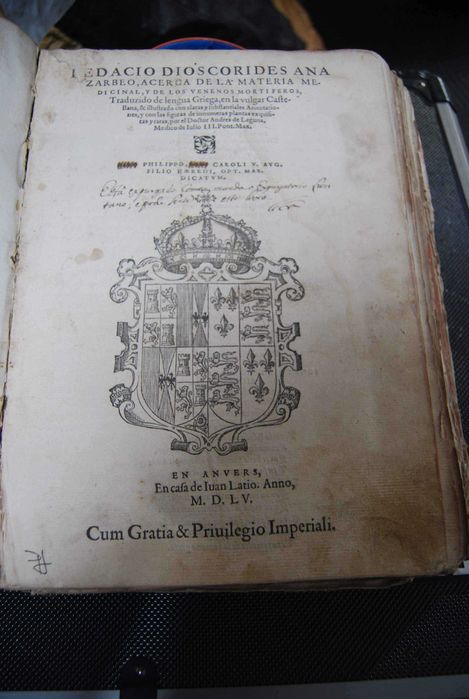 Dioscorides Anarzabeo - Andres de Laguna 1555
