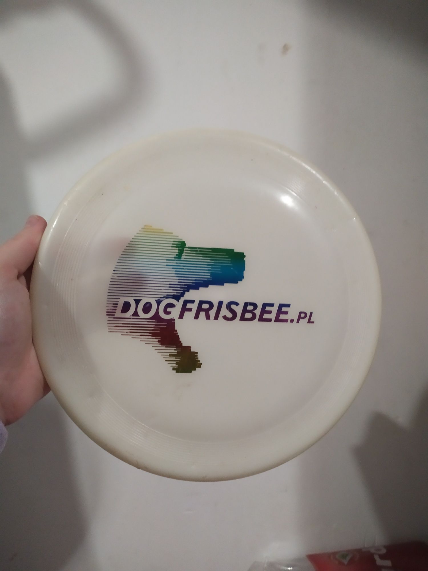 Frisbee dogfrisbee.pl dla psa