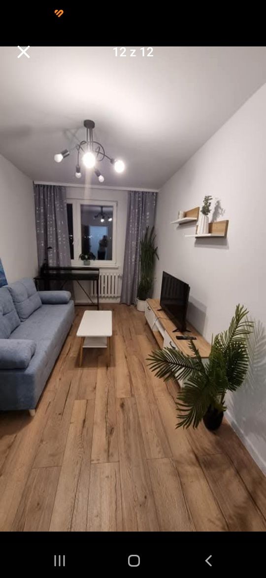 Mieszkanie do wynajęcia 57m. 3pokoje od 1.09
