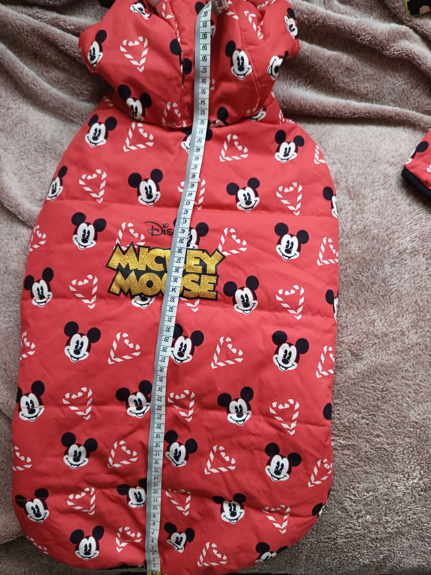 Ubranko kamizelka kurtka dla psa Border collie z myszką Mickey