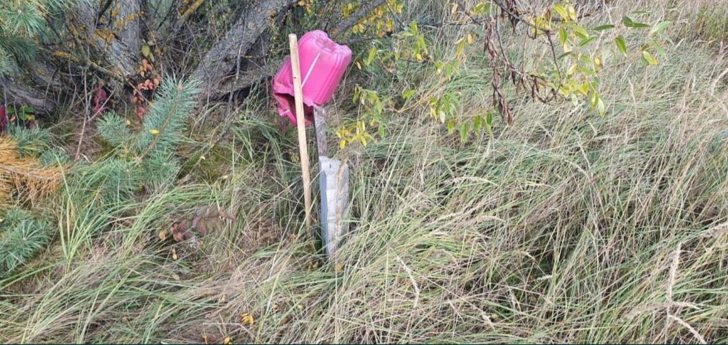 Земельна ділянка Зимна Вода