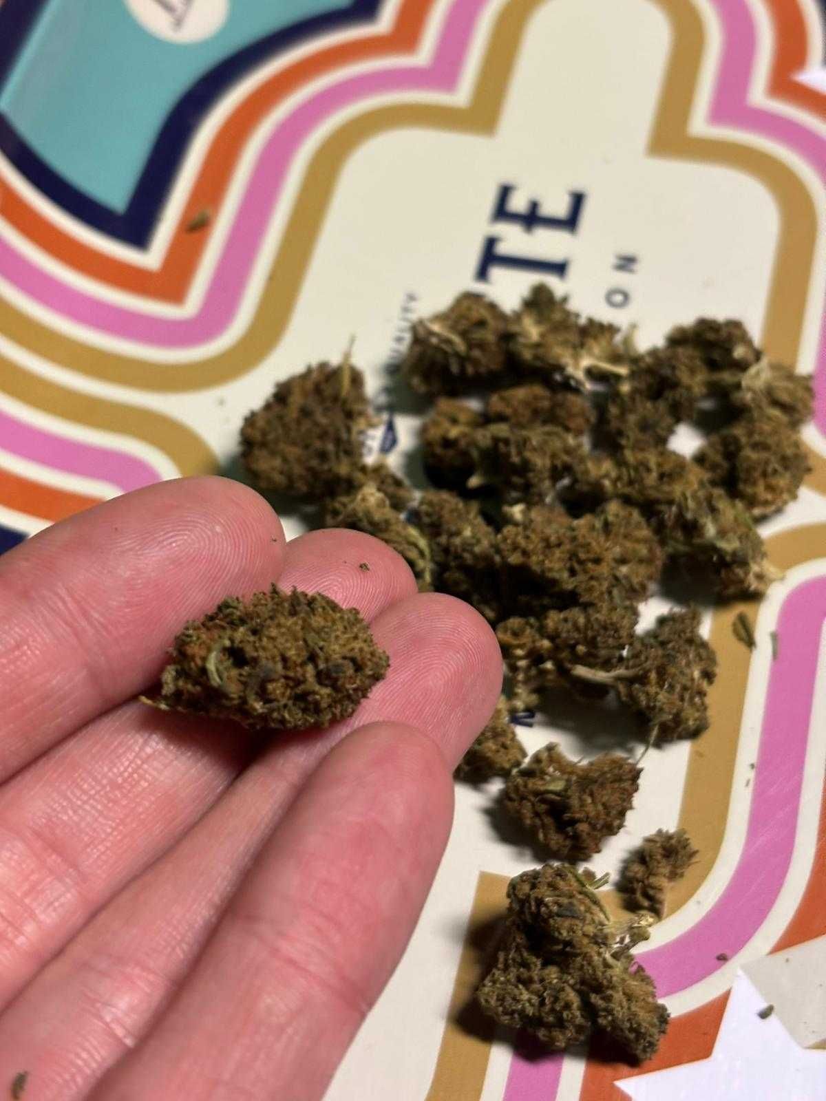 susz konopny CBD / Kwiaty CBD Premium – Cytrusowa Supernowa