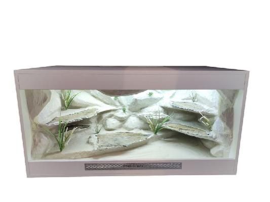 Terrarium 120x60x60 dla Agamy brodate.