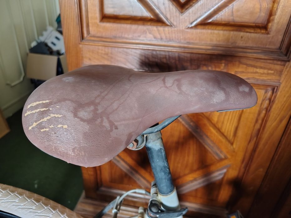 Bicicleta World Bike Tour [mau estado]