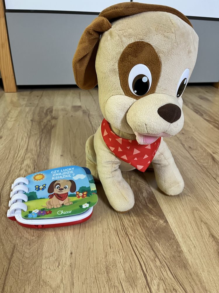 Piesek Lucky Chicco