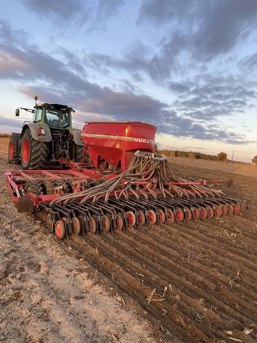 Usługa siew zbóż Horsch pronto 6DC