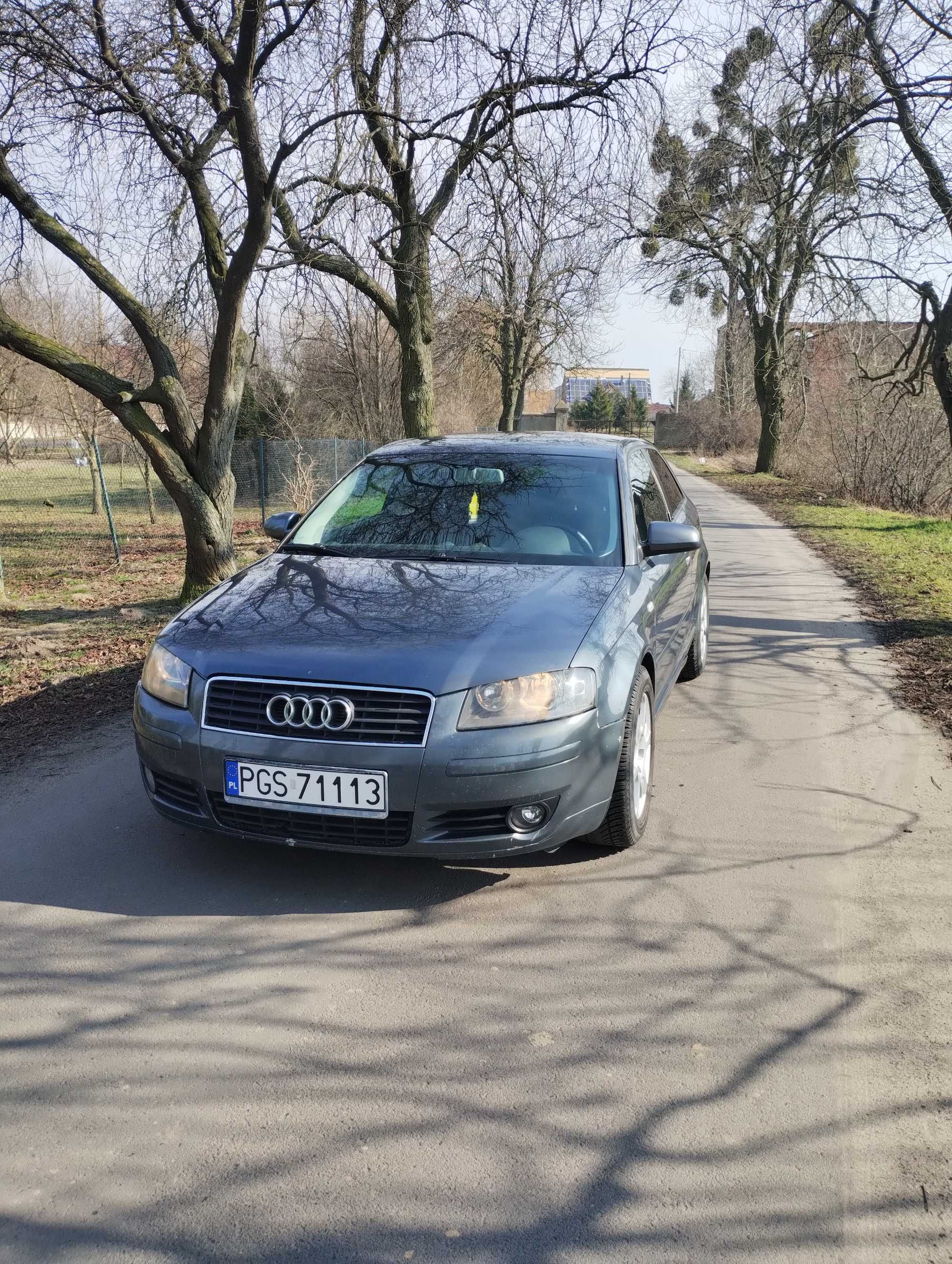 Audi a3 8P 1.9tdi