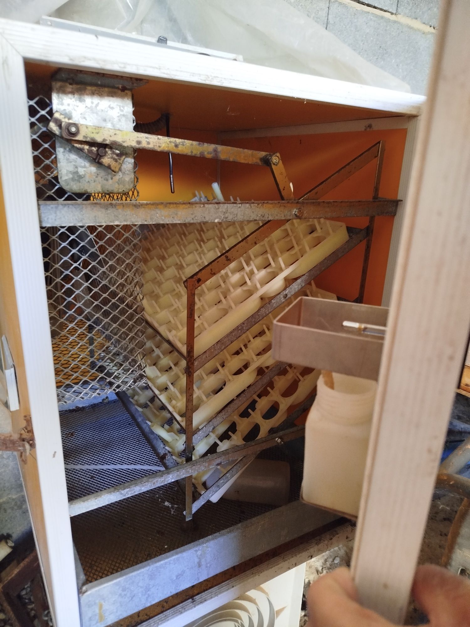 Vendo chocadeira precisa de termostato