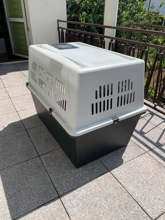 Transporter dla psów