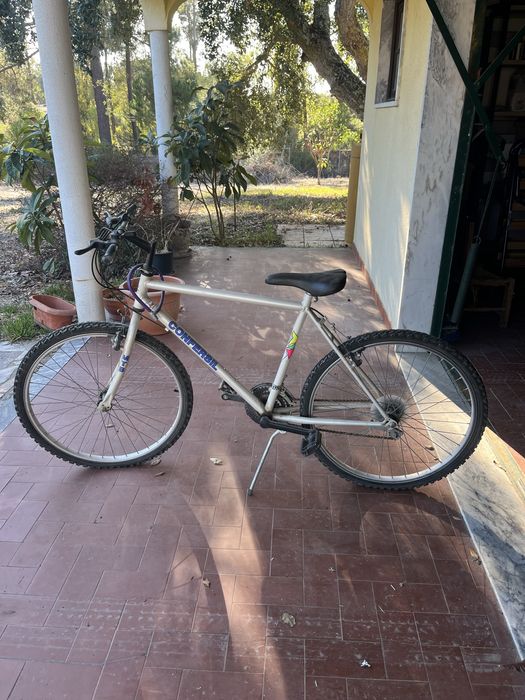 Bicicleta da confersil