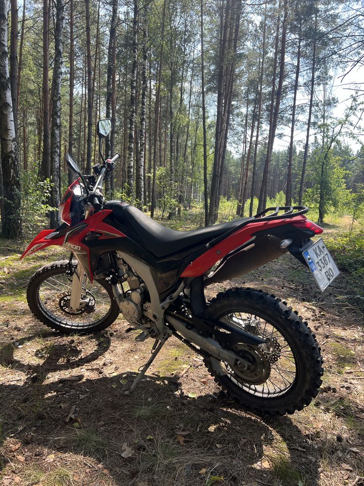 Loncin 300 Лось