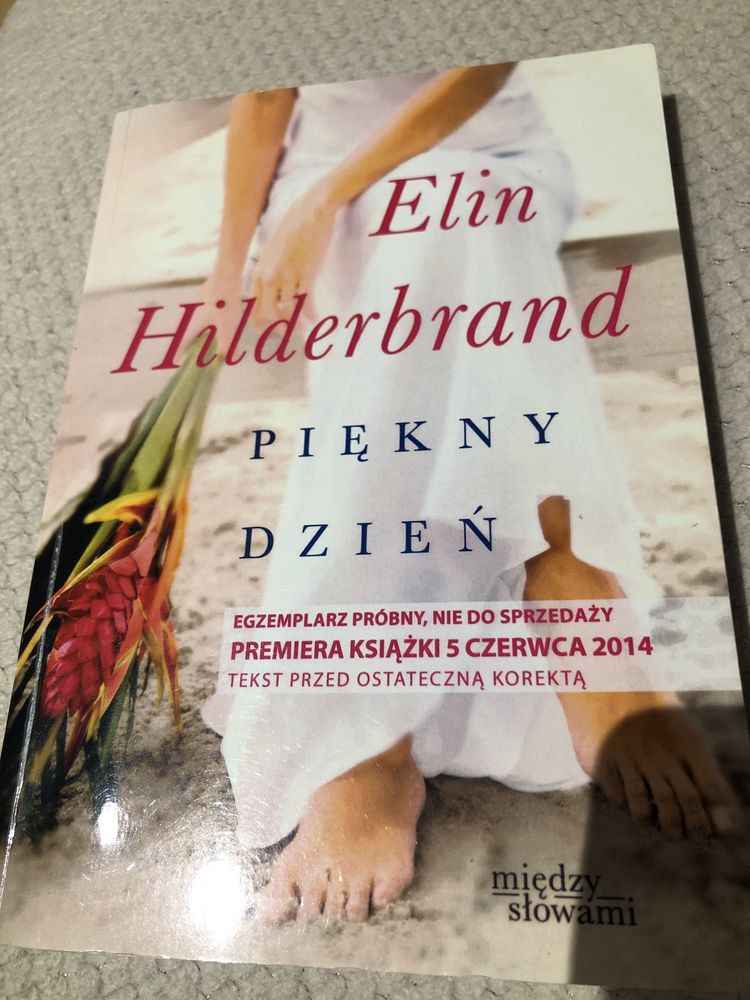 Elin Hilderbrand Piękny dzień