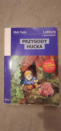 Przygody Hucka Mark Twain