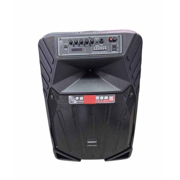 Караоке акустика Temeisheng-A15(Bluetooth,SD,USB,FM) пульт ДУ, 2микроф