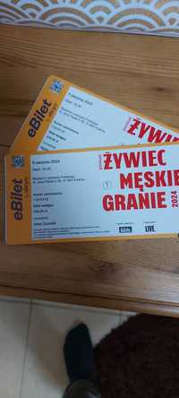 2 bilety na Męskie Granie 2024 -Kraków - PIĄTEK 9 sierpnia