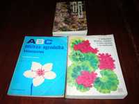 Kwiaty w ogródku; ABC mistrza ogrodnika-kwiaciarstwo; Rośliny ozdobne