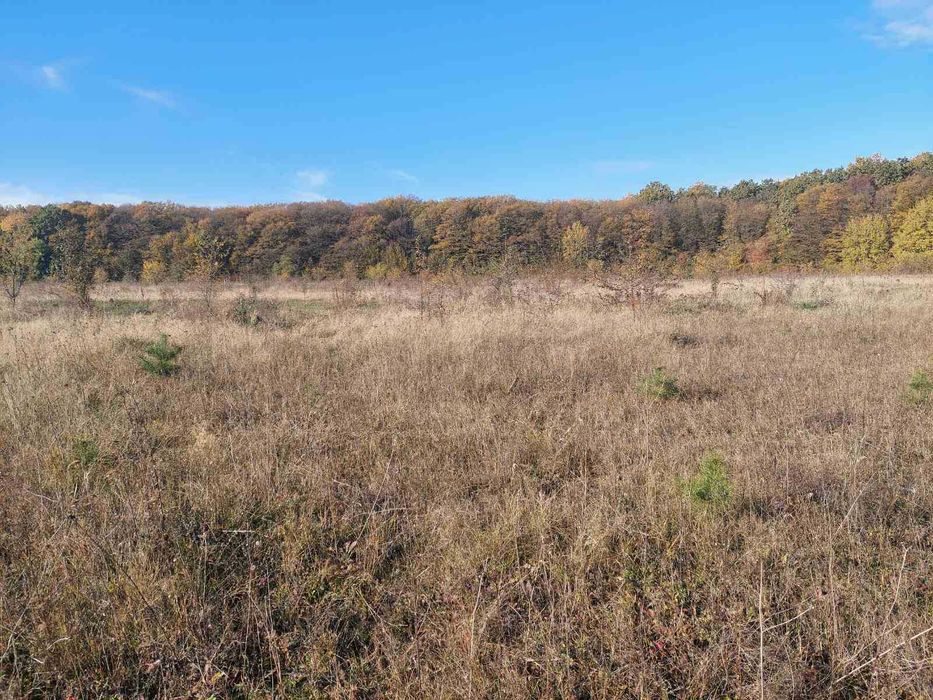 (5)   Продам земельну ділянку на Старому місті 6470